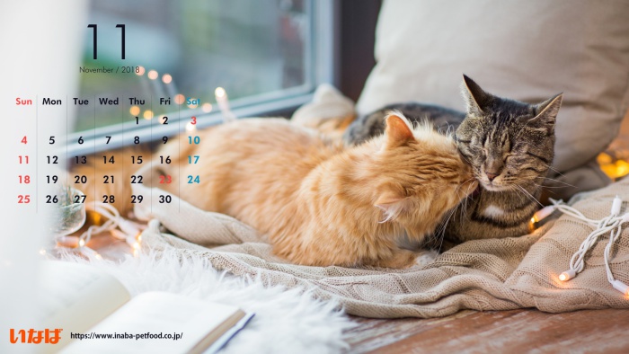年猫カレンダーまとめ 人気の岩合光昭 卓上や壁掛け 無料壁紙も紹介 Motto Cat