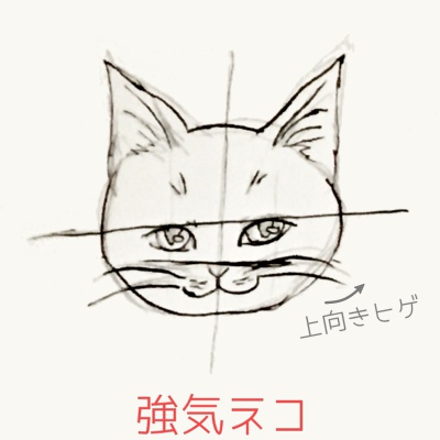 猫のイラストの描き方