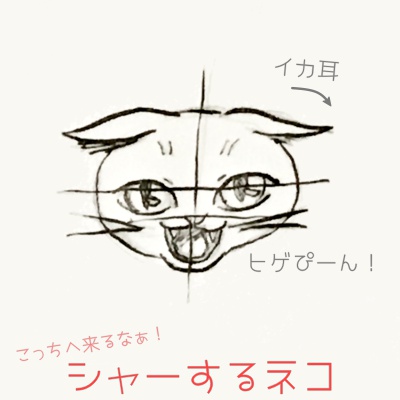 猫のイラストの描き方