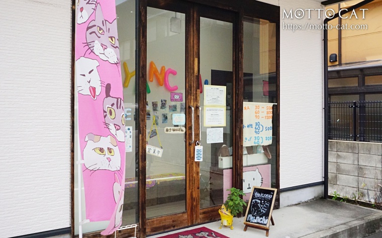 石川（金沢）の猫カフェ・nyanchi